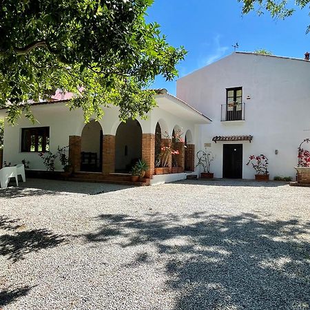 Villa Tana Pacenzia Cefalù Exteriér fotografie