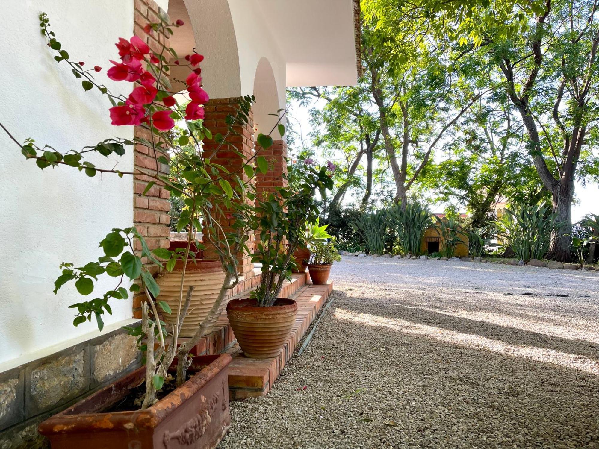 Villa Tana Pacenzia Cefalù Exteriér fotografie